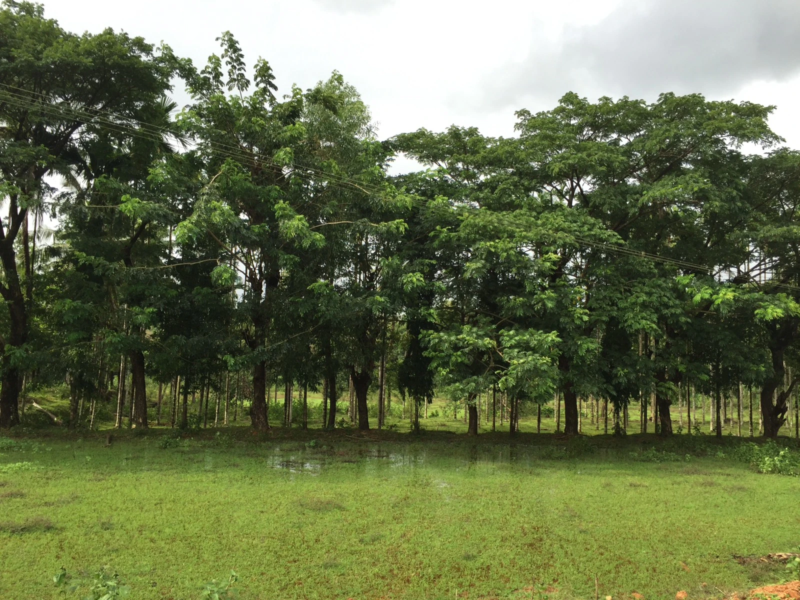 Farmland in Karnataka