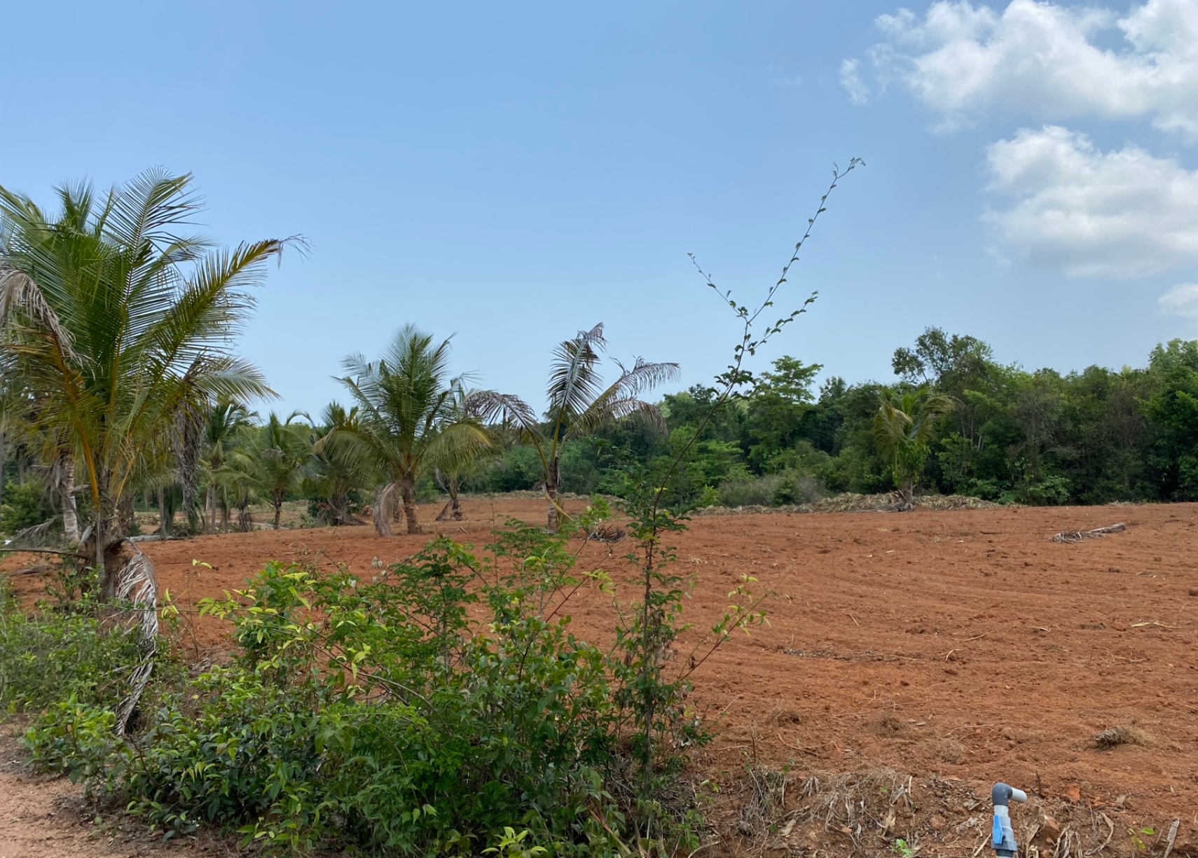 6 Acre Farm Estate At Ninjoor